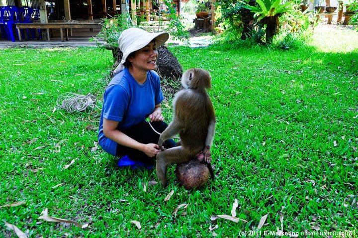 Ruean Thai Nai Bang By Pansak Resort Surat Thani Dış mekan fotoğraf